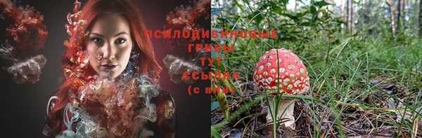 ГАЛЛЮЦИНОГЕННЫЕ ГРИБЫ Беломорск