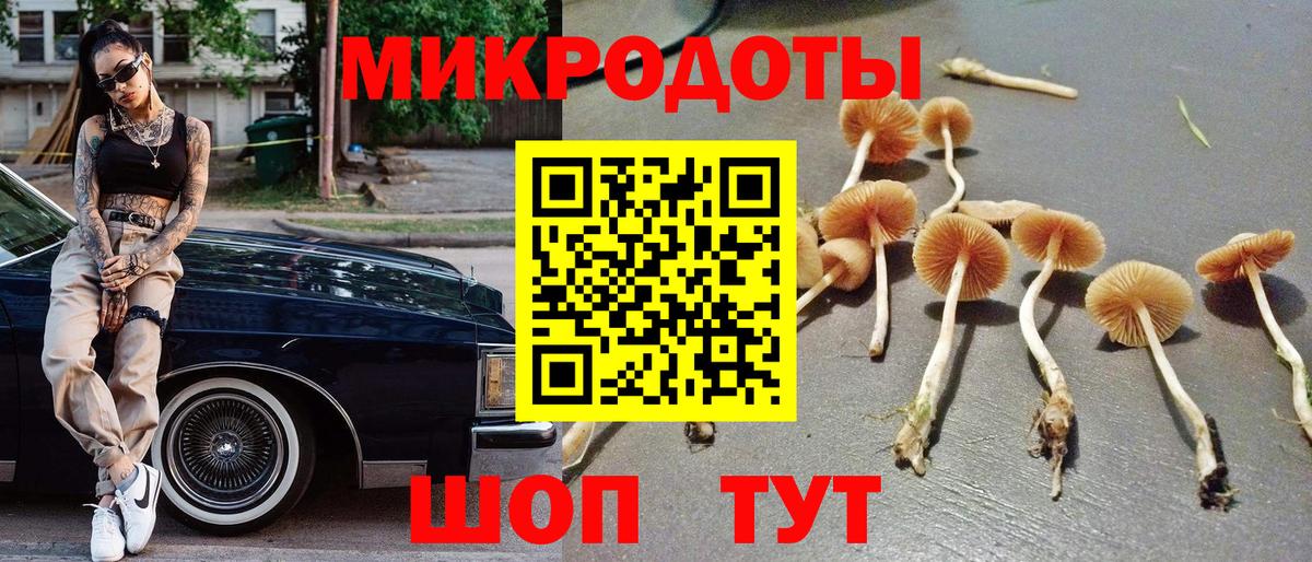 Валуйки  Псилоцибиновые грибы прущие грибы  Вход с VPN  Галлюциногенные грибы Psilocybine cubensis 