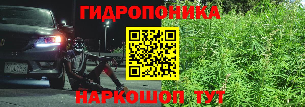 Бошки марихуана VHQ Валуйки